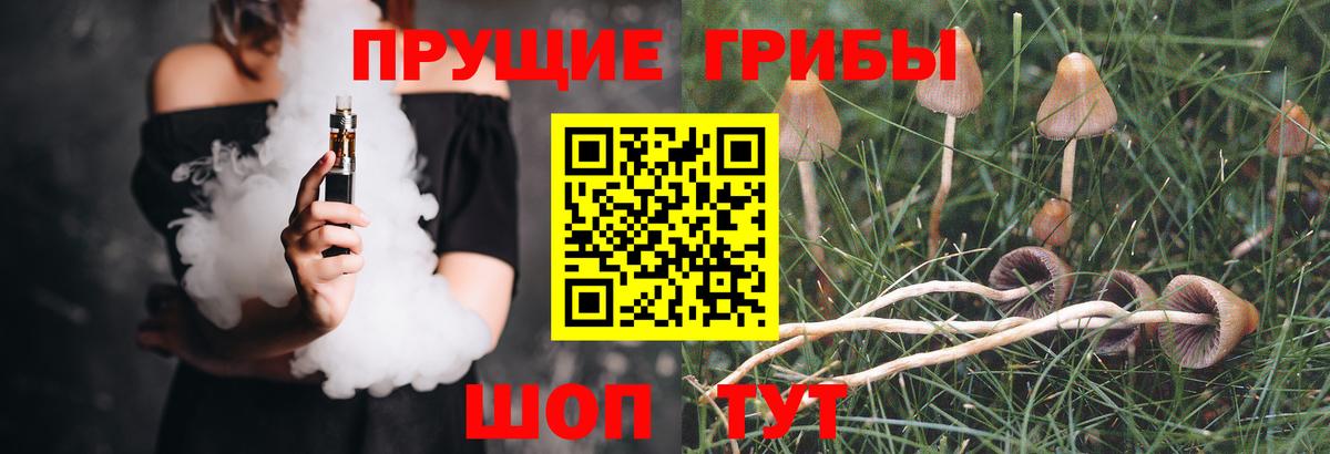 Псилоцибиновые грибы GOLDEN TEACHER Пенза